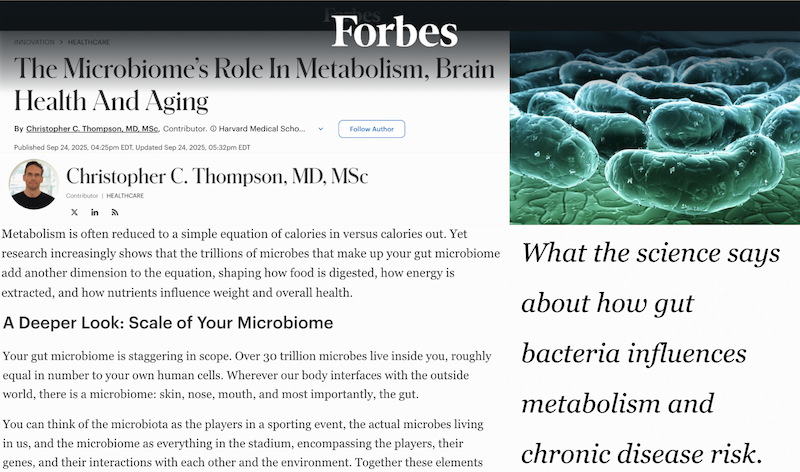 Forbes article on how the gut microbiome affects metabolism, brain health, aging, and chronic disease risk.