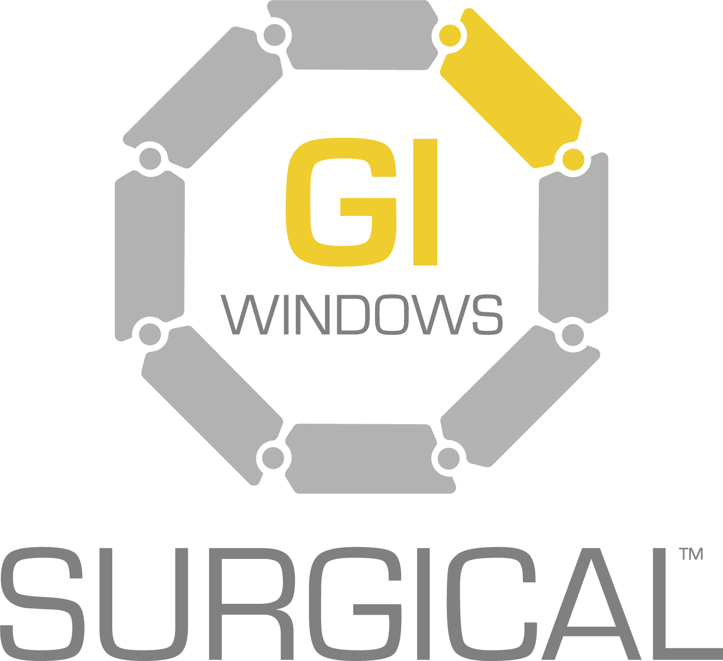 GI Windows Surgical